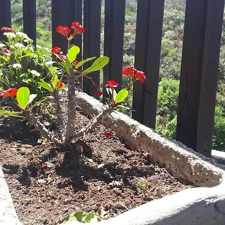 Casa Tia Rosa. Hébergement de vacances *