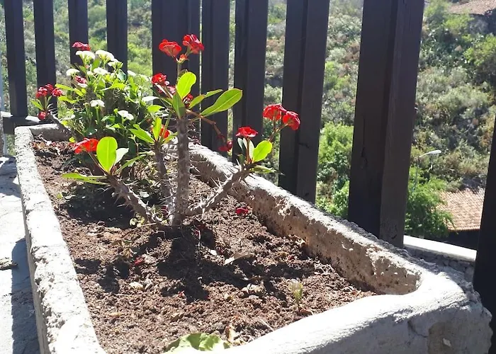 Casa Tia Rosa. Holiday home *